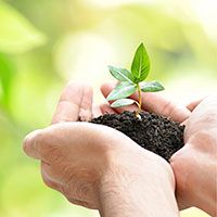 Kentucky Agricultural Development Board